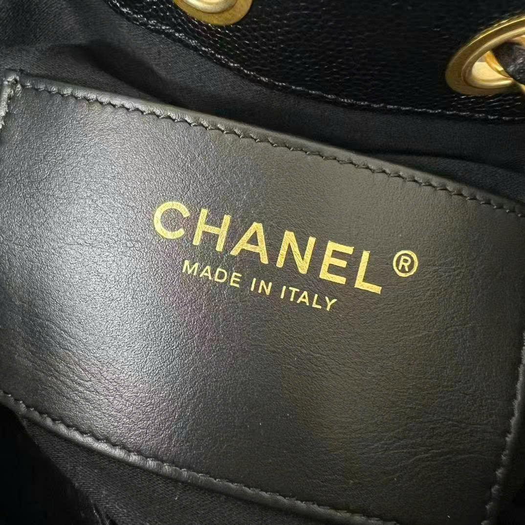 CC 26s Hobo Bag 22cm Black Caviar GHW (Best Version)