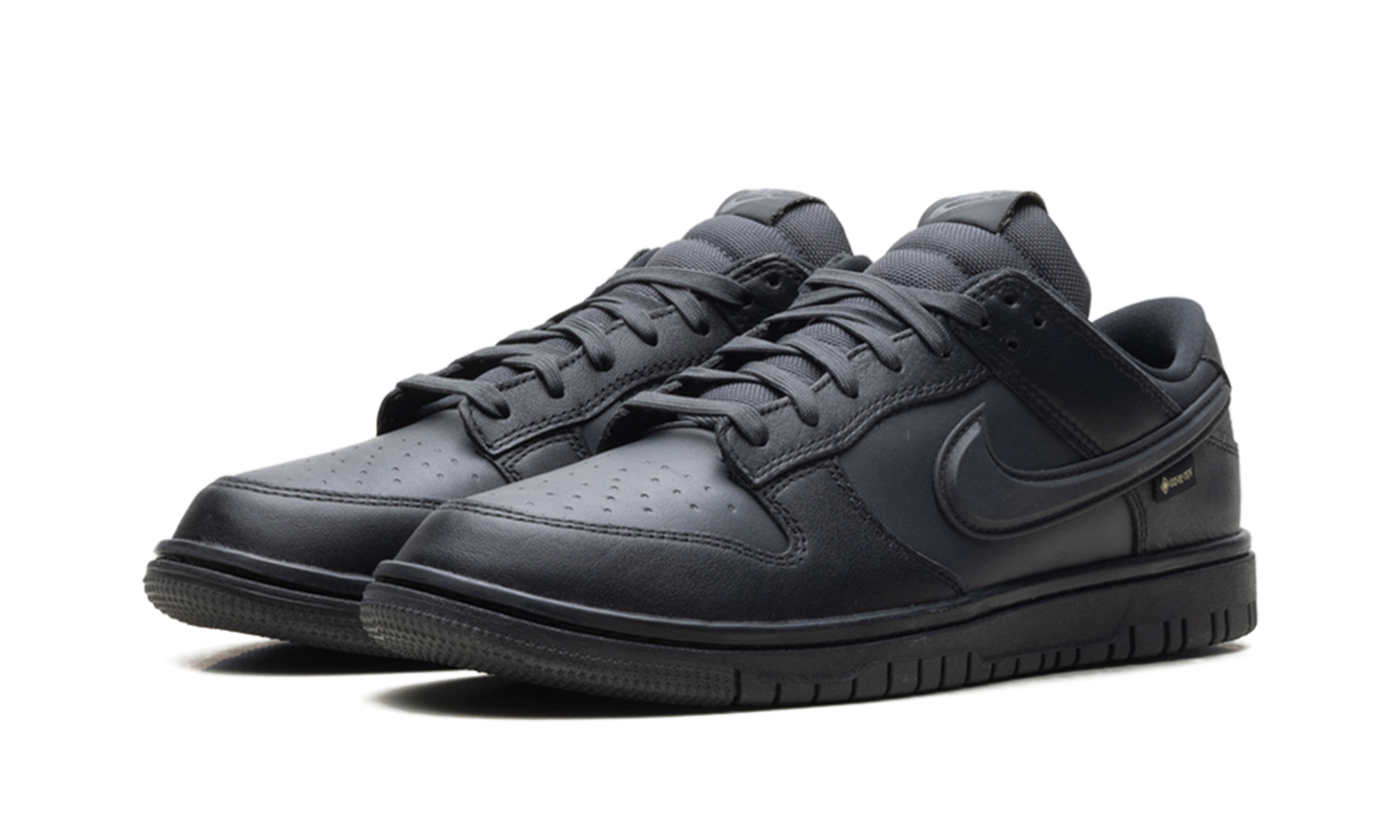 Dunk Low Gore-Tex "Triple Black" HQ2053 001