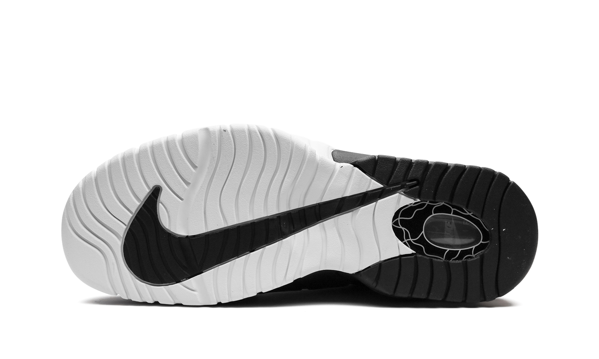 Air Max Penny "Tiger Stripes" FD0783 010