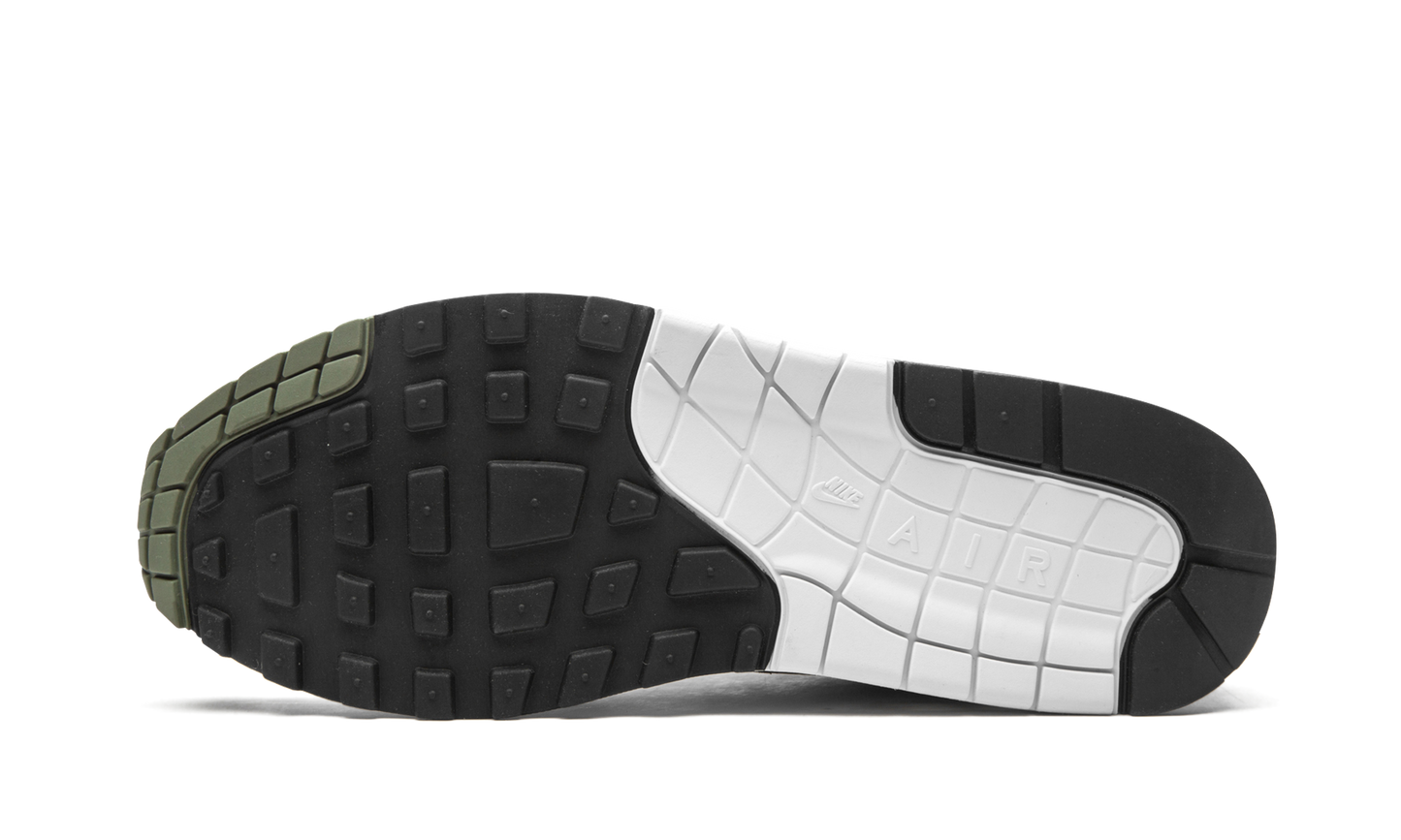 Air Max 1 "Spiral Sage" DB5074 100