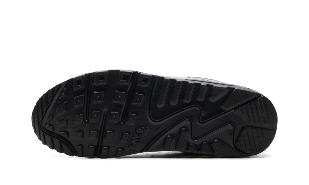 Air Max 90 "Light Smoke Grey Black" IM5989 077