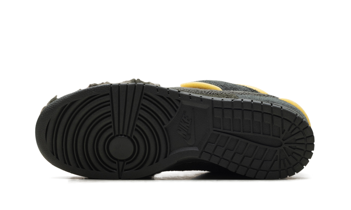 Dunk Low "CPFM Swamp Spone - Sequoia" IH5094 300