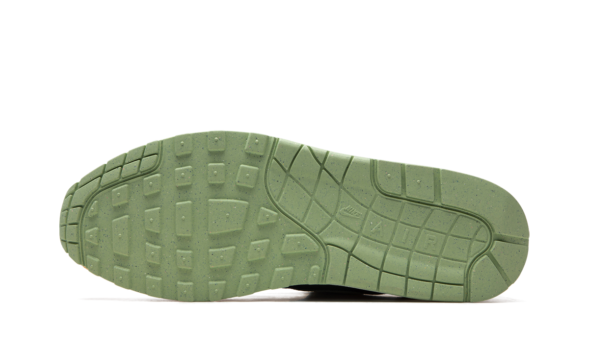 Air Max 1 "Ugly Duckling - Honeydew" DZ0482 001