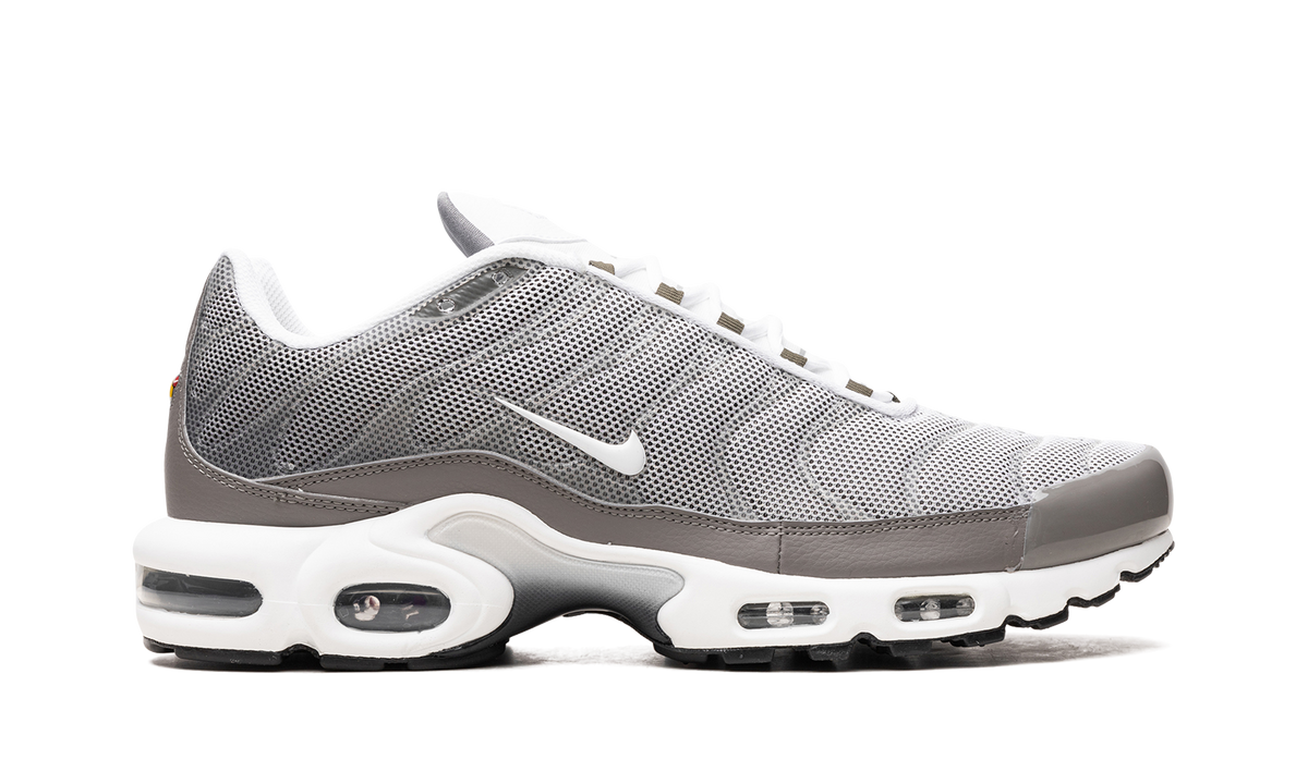 Air Max Plus SE "Flat Pewter" DV7665 002