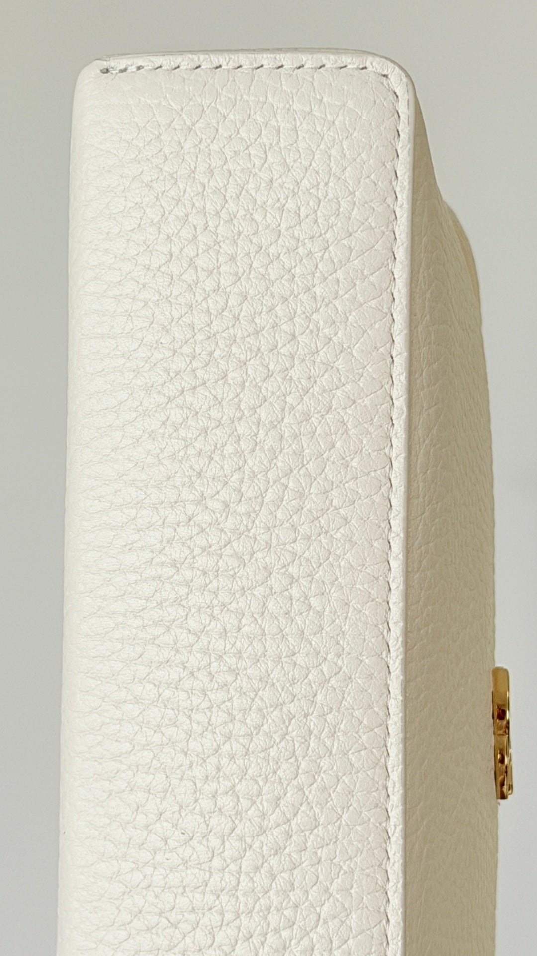 CC Métiers d’art 2026 Large Vanity With Chain White Grained Calfskin