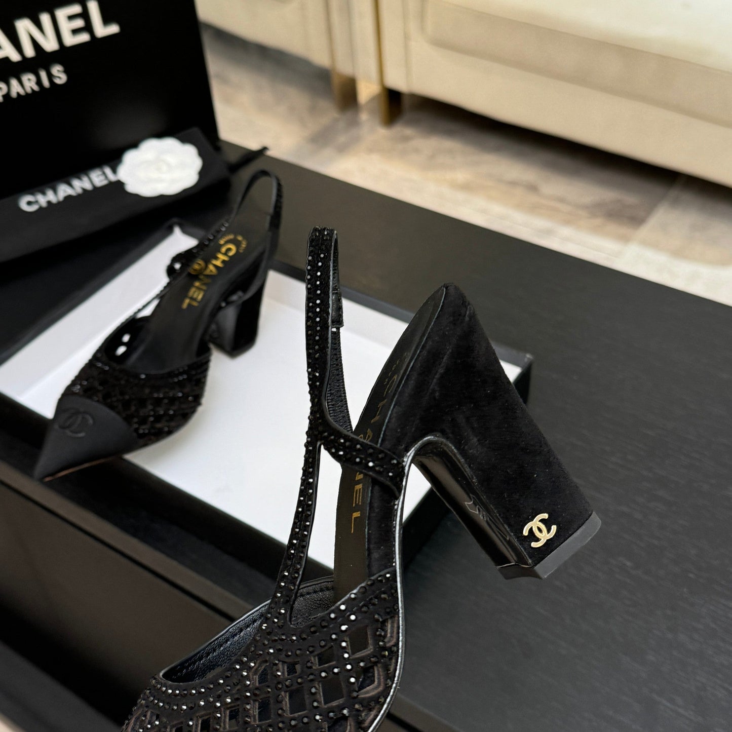 CC 26s Rhinestone Pointed-Toe Shoe Black Suede Canvas 907703