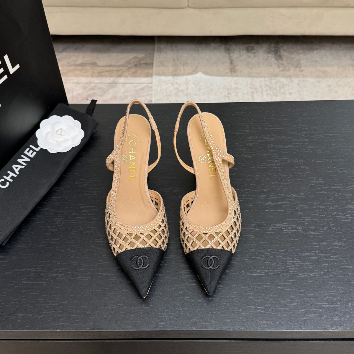 CC 26s Rhinestone Pointed-Toe Shoe Beige Black Suede Canvas 907704