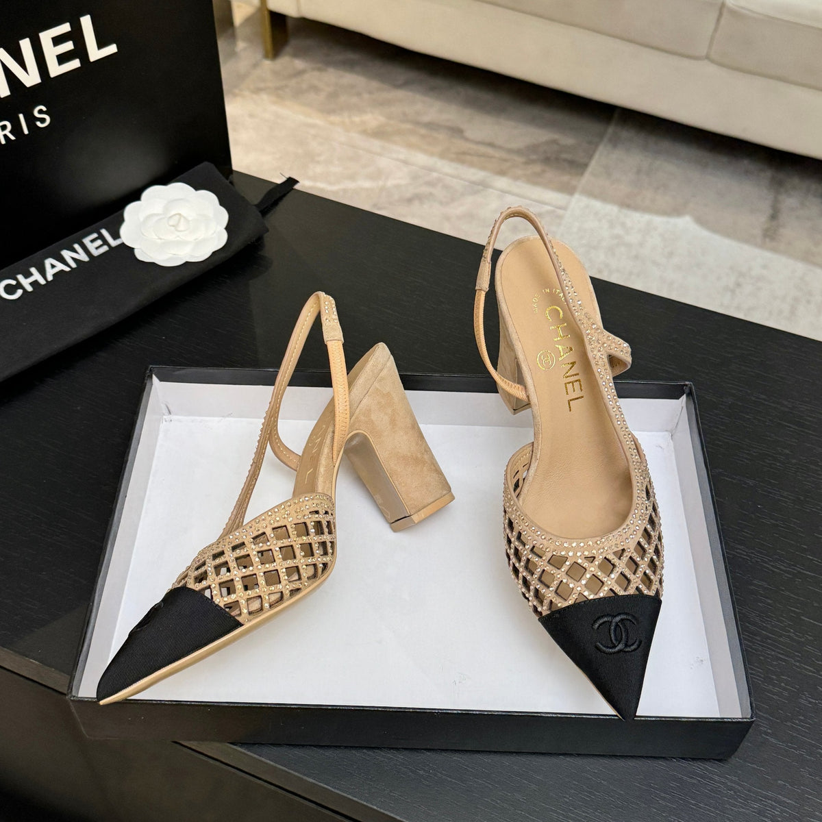 CC 26s Rhinestone Pointed-Toe Shoe Beige Black Suede Canvas 907704