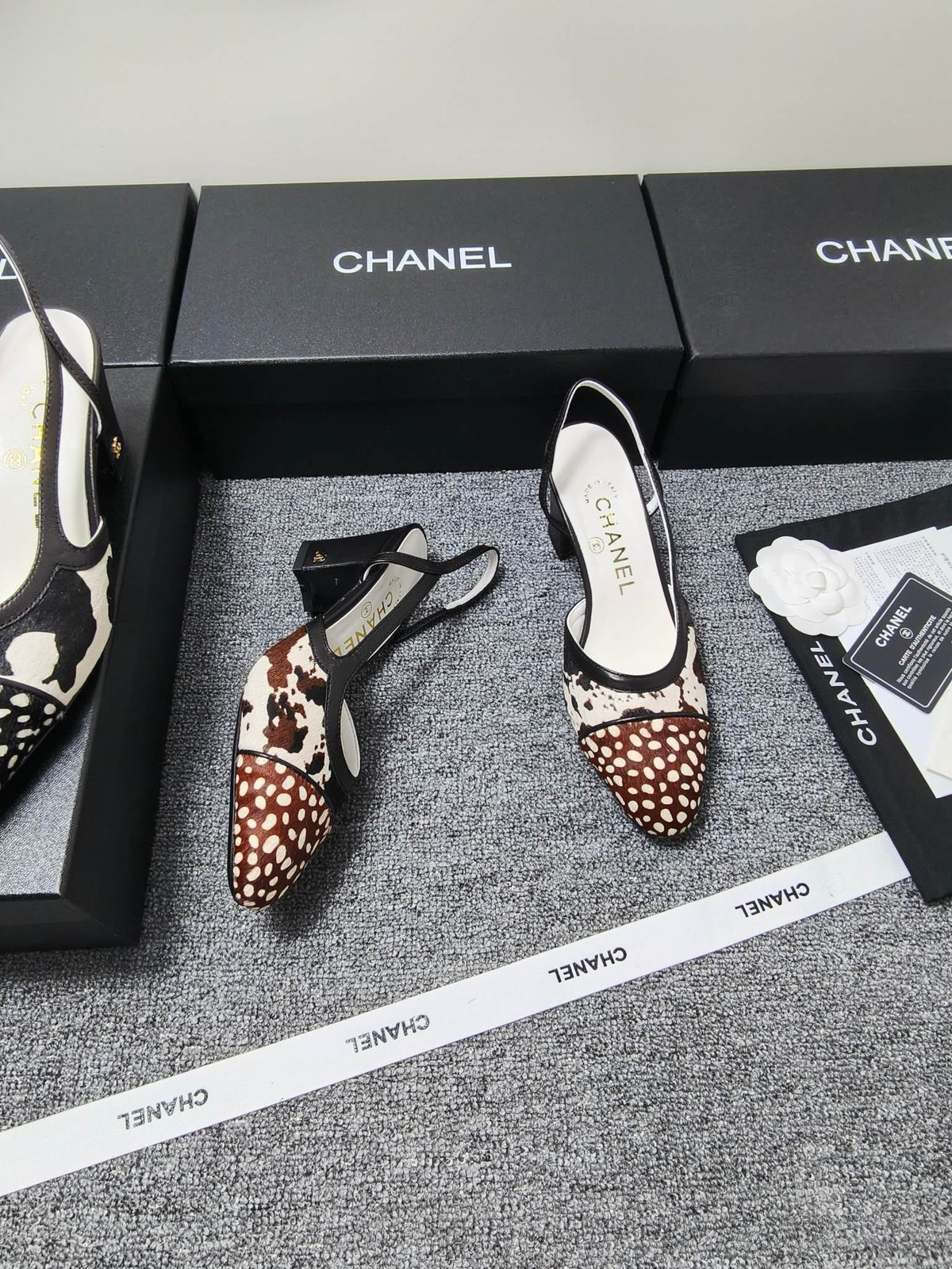 CC SS 2026 Slingbacks 6.5cm White Brown Black Calfskin Lambskin