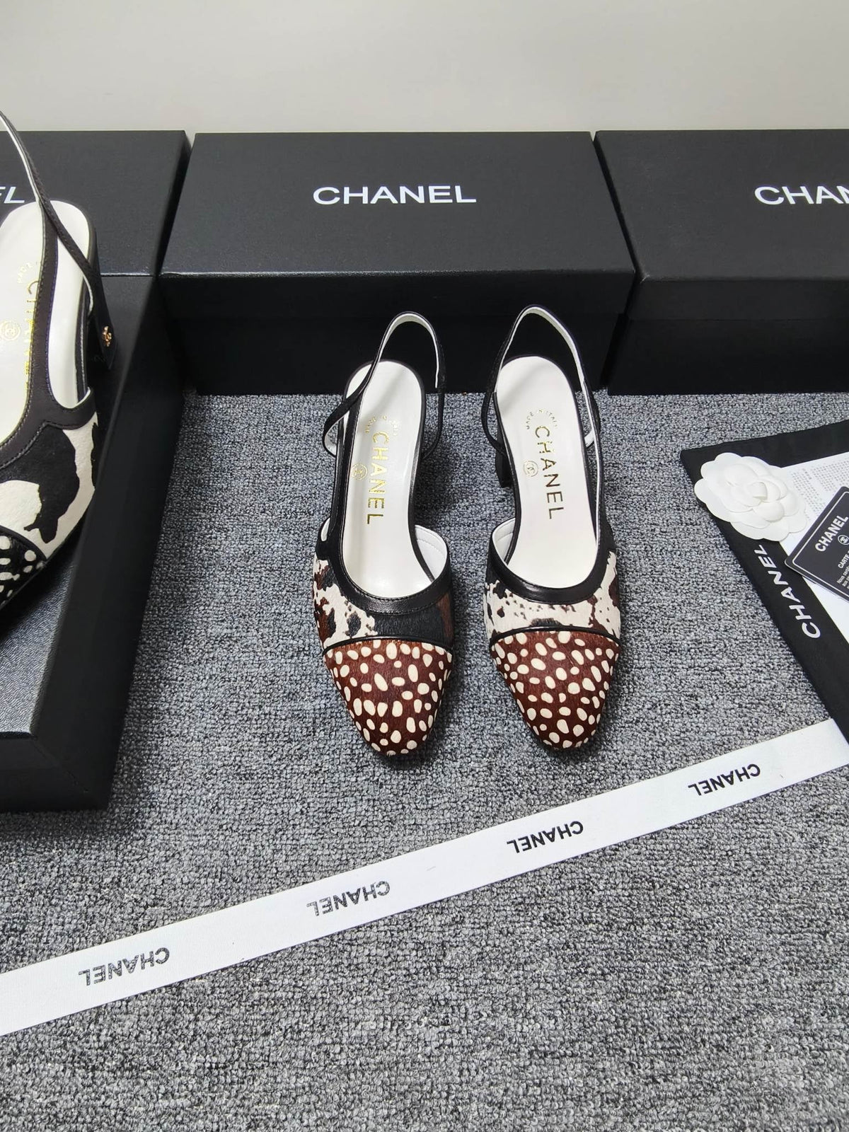 CC SS 2026 Slingbacks 6.5cm White Brown Black Calfskin Lambskin