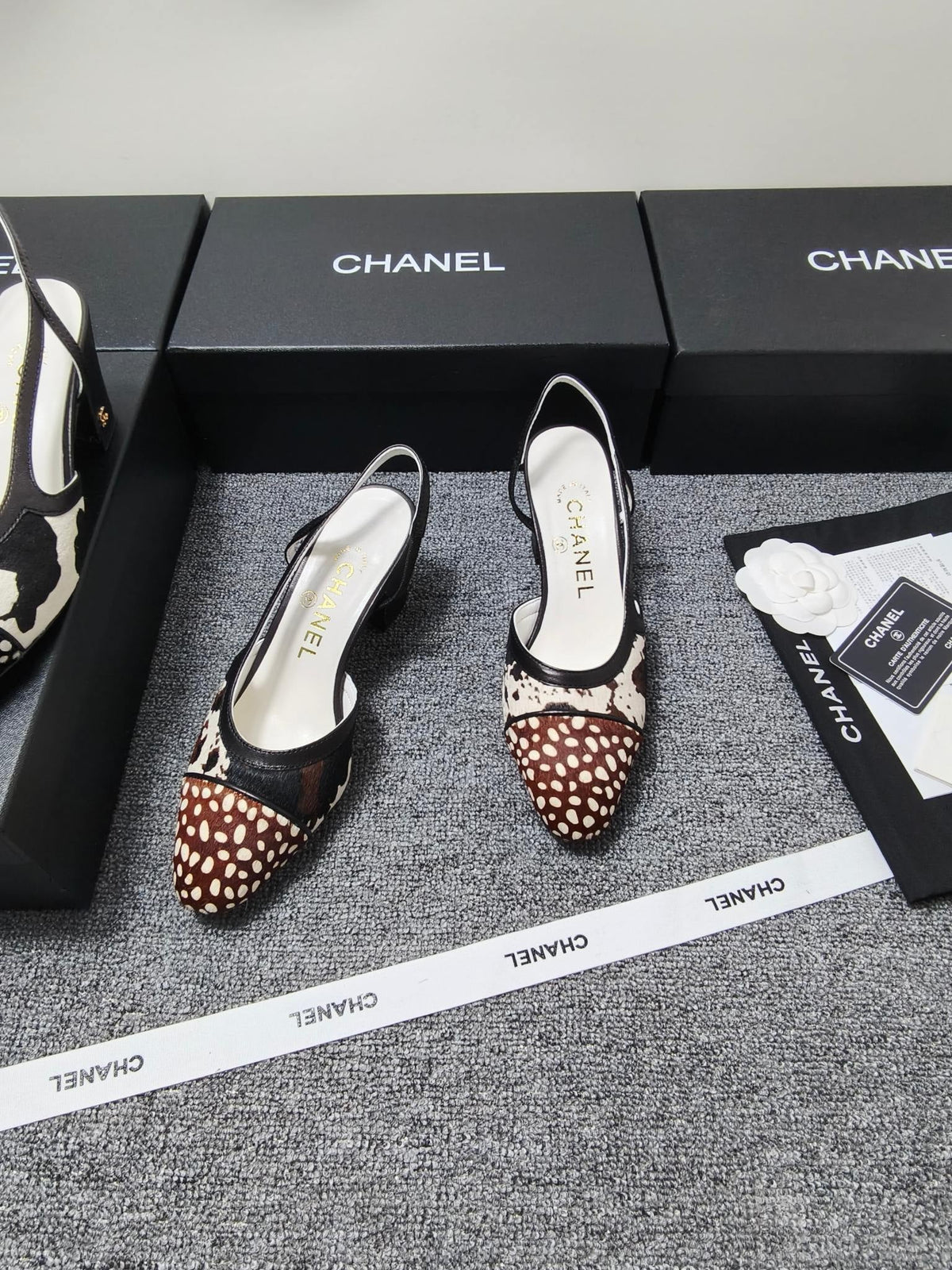 CC SS 2026 Slingbacks 6.5cm White Brown Black Calfskin Lambskin