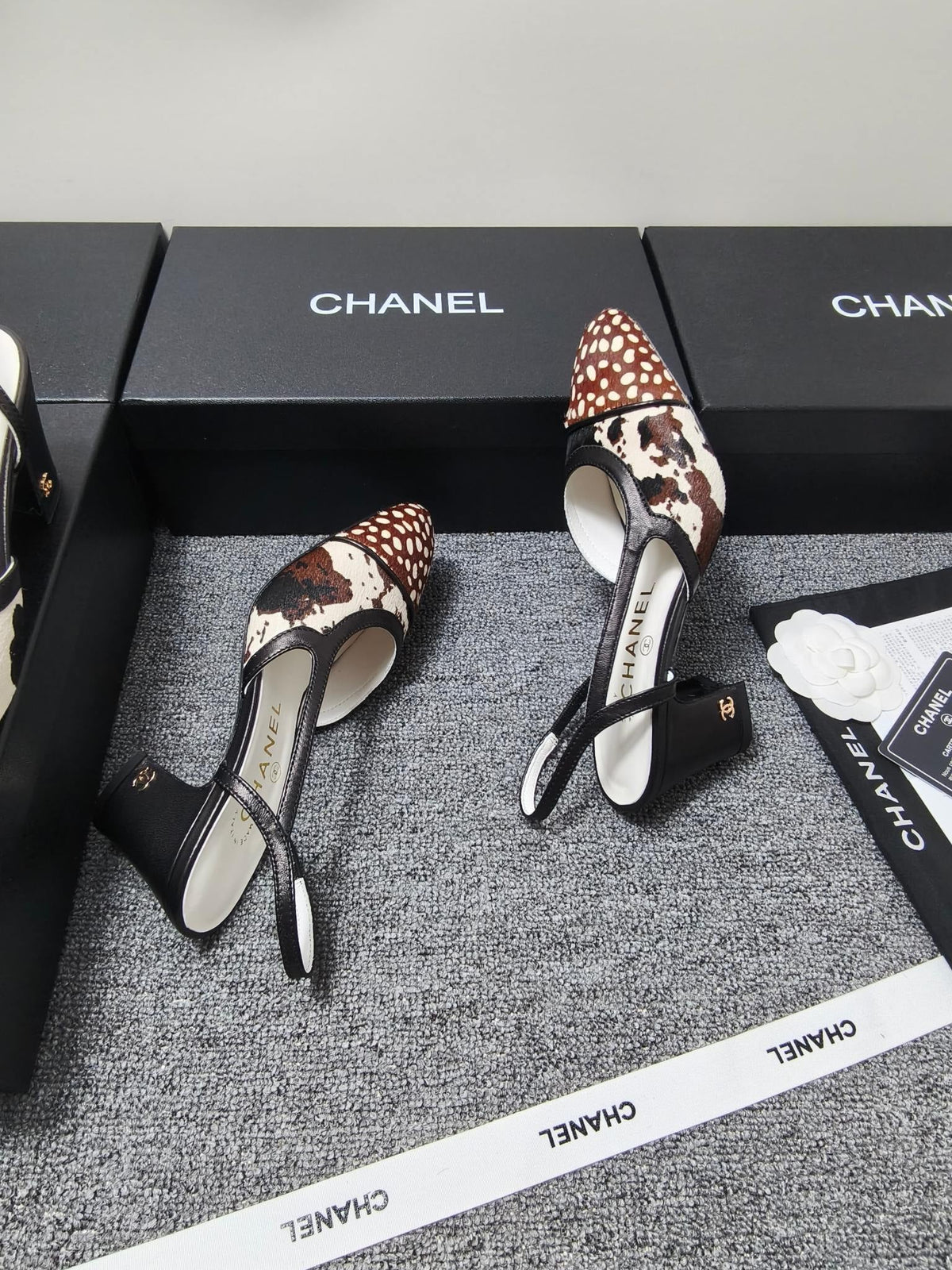 CC SS 2026 Slingbacks 6.5cm White Brown Black Calfskin Lambskin