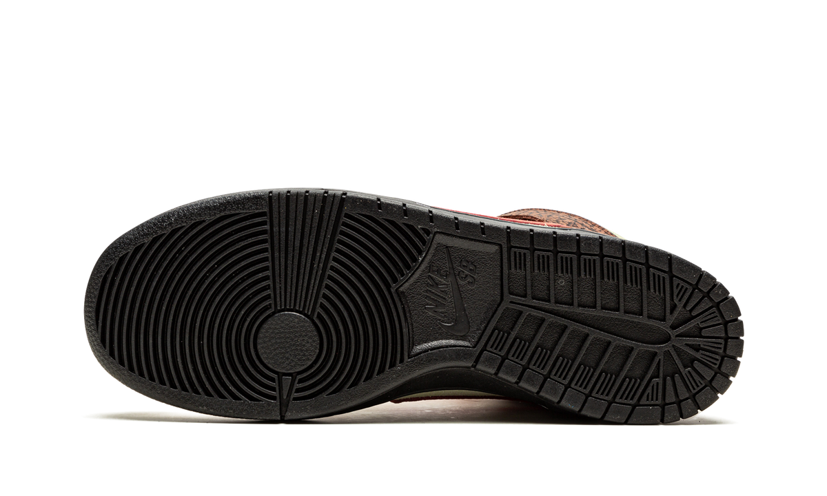 SB Dunk High "Color Skates - Kebab and Destroy" CZ2205 700