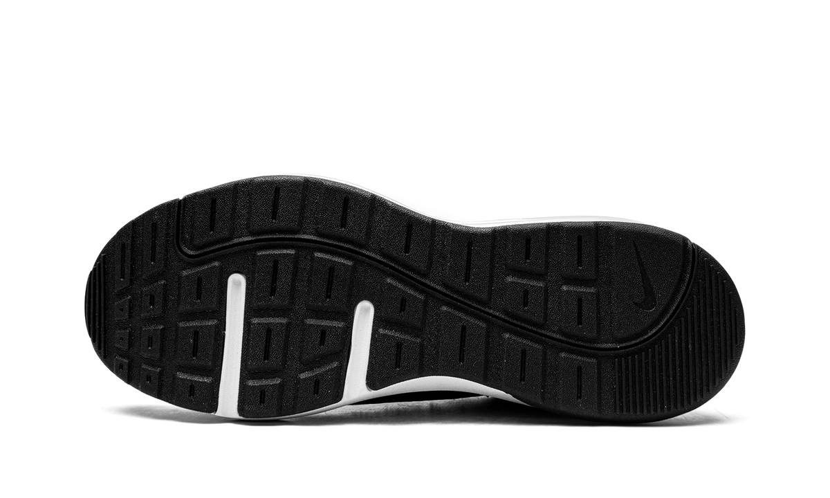 Air Max AP "Black White" CU4826 002