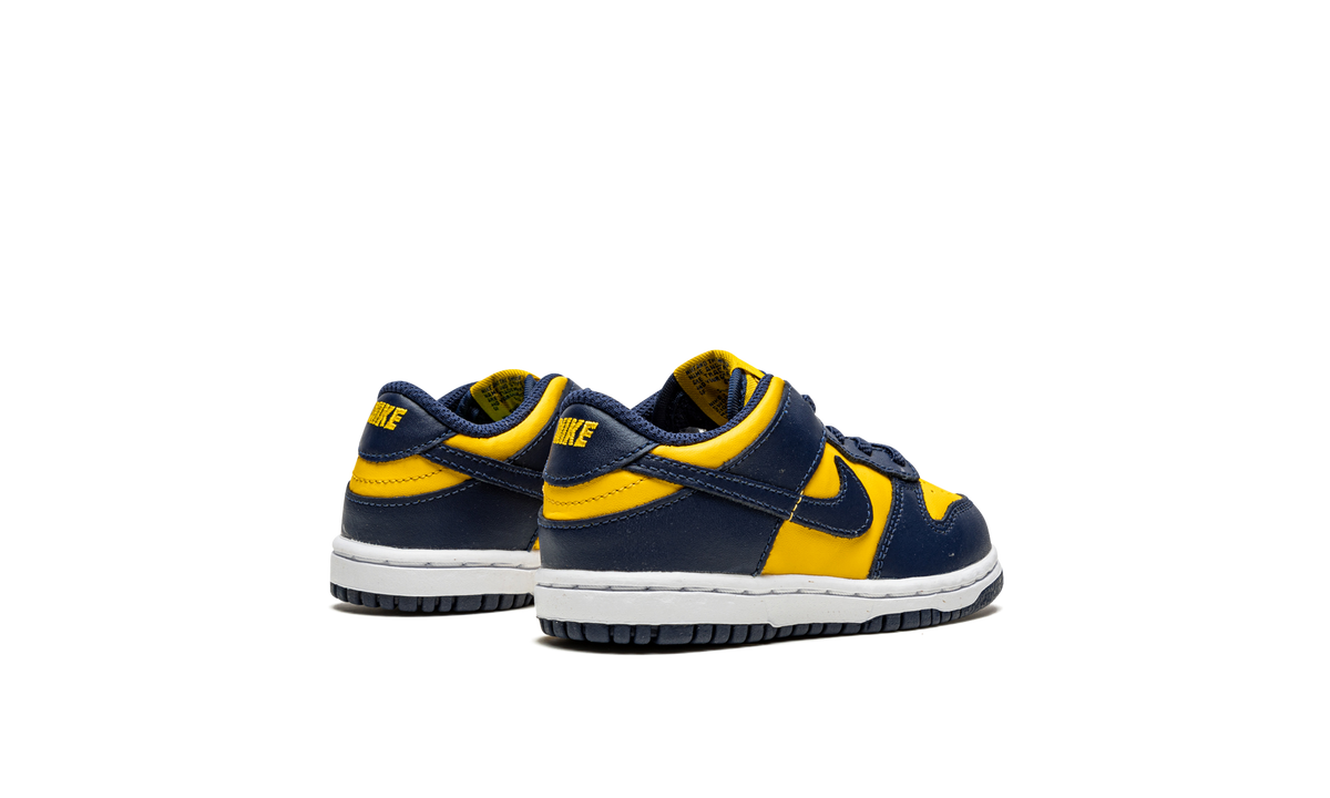 Dunk Low TD "Michigan" CW1589 700