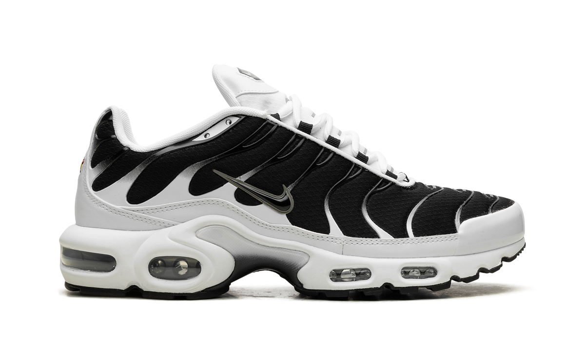 Air Max Plus "Black / White" CT1094 102
