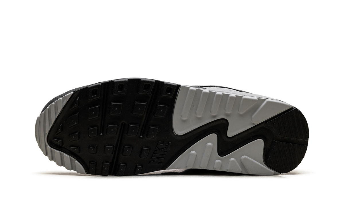 Air Max 90 "Smoke Grey / Black" DM0029 020
