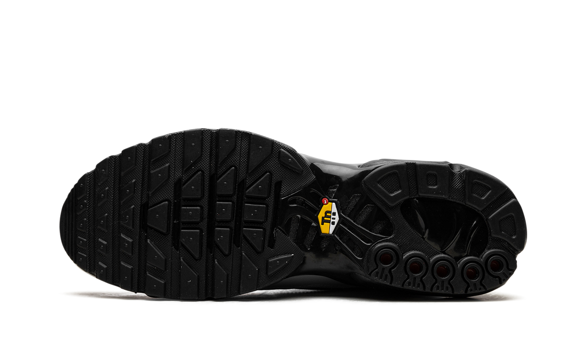 Air Max Plus "Wolf Grey" HM6850 001