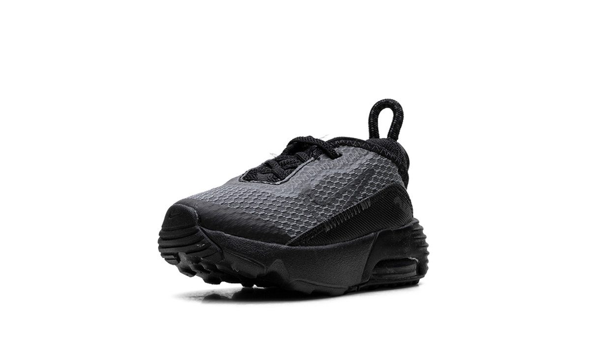 Air Max 2090 TD "Black Wolf Grey" CU2092 001